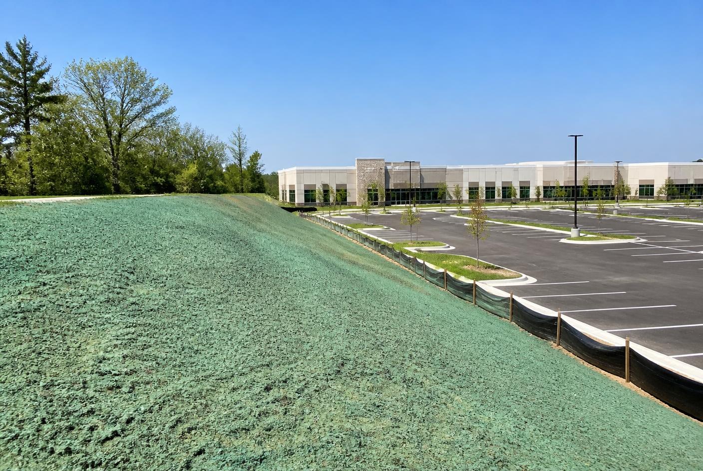 Commercial site slope hydroseeded beside a new parking lot